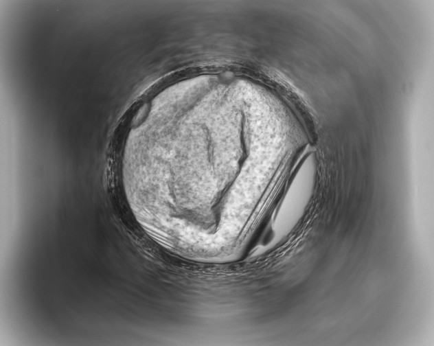 X0000096641208200802261250