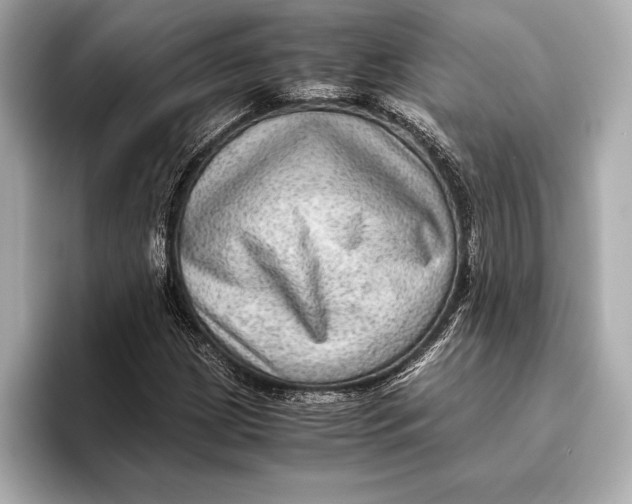 X0000096641209200802261250