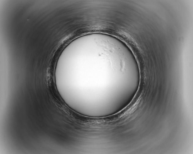 X0000096641210200802261250