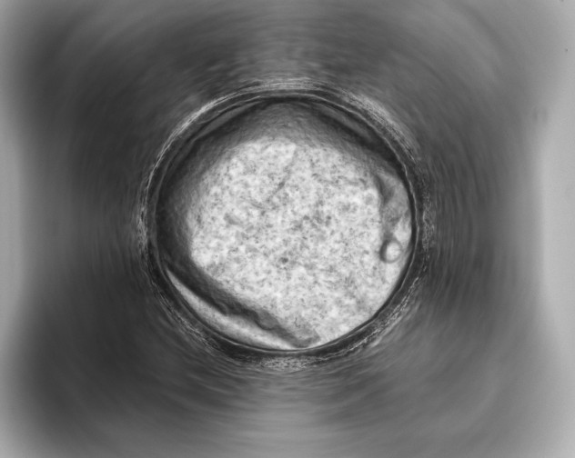 X0000096641212200802261250