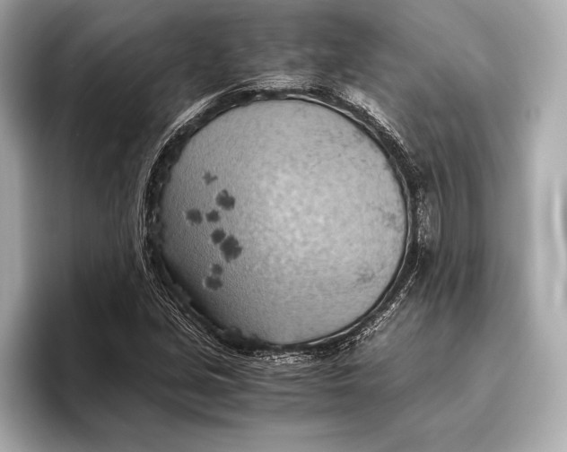 X0000096641213200802261250