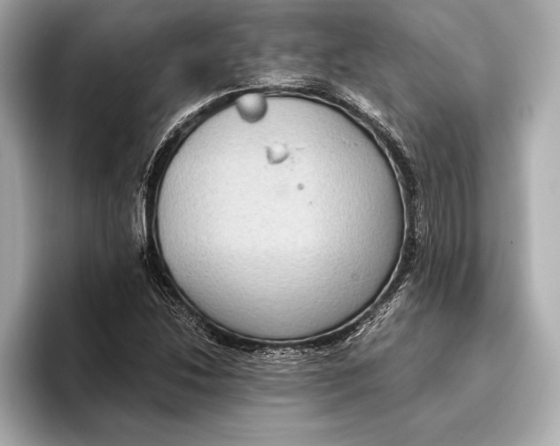 X0000096641214200802261250