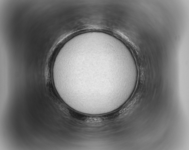 X0000096641215200802261250