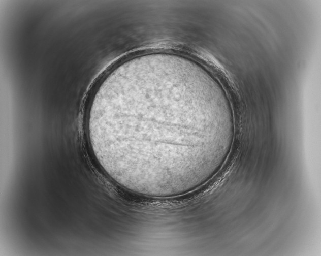 X0000096641216200802261250