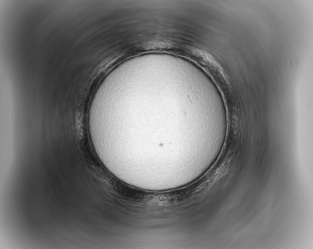 X0000096641217200802261250