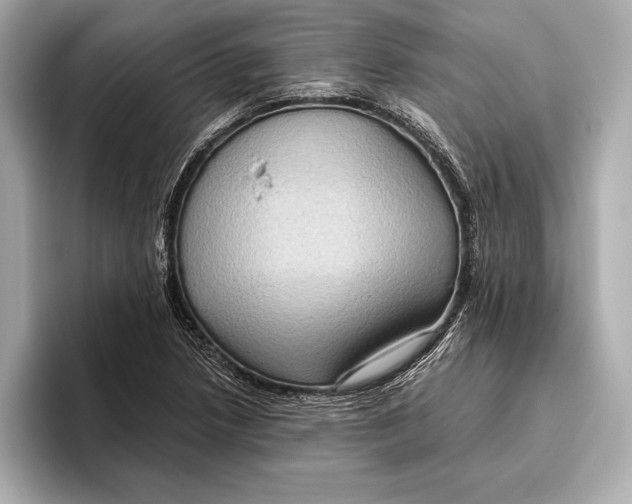 X0000096641218200802261250