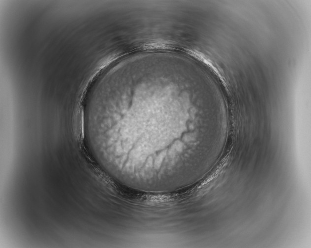 X0000096641219200802261250