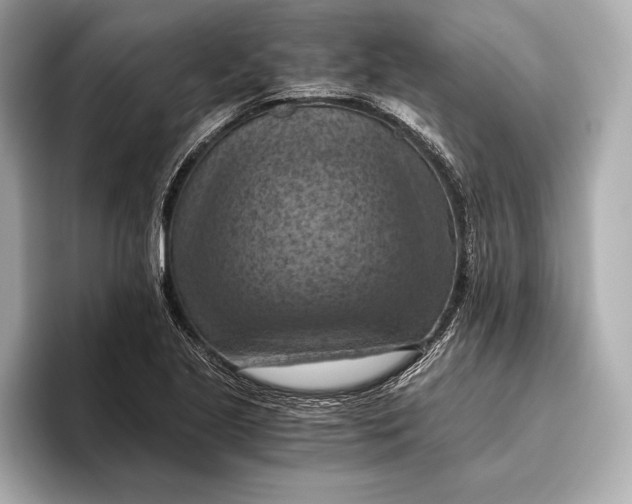 X0000096641221200802261250