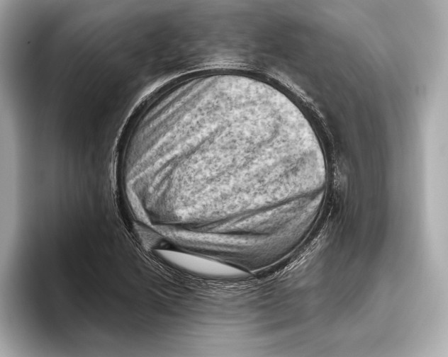 X0000096641222200802261250