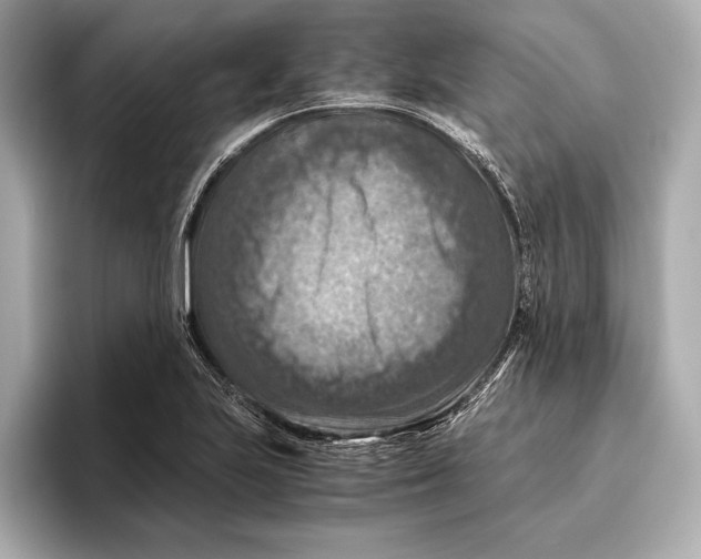 X0000096641223200802261250