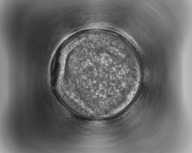 X0000096641224200802261250