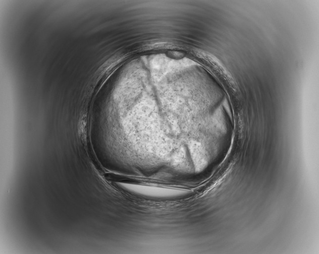 X0000096641225200802261250