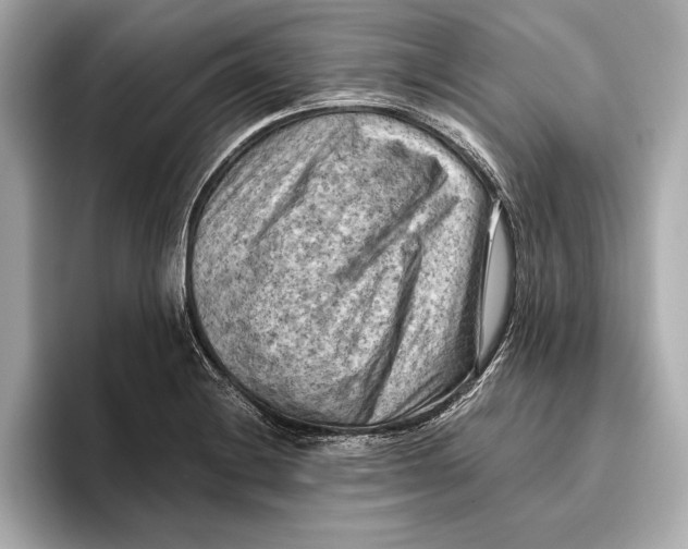 X0000096641228200802261250