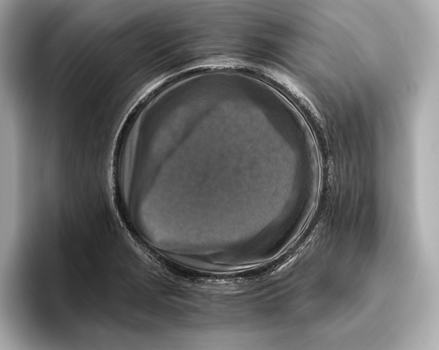 X0000096641229200802261250