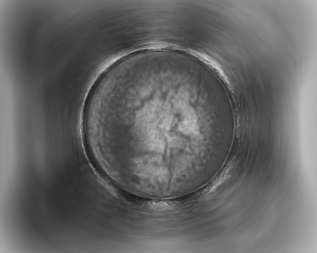 X0000096641231200802261250