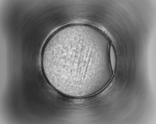 X0000096641232200802261250