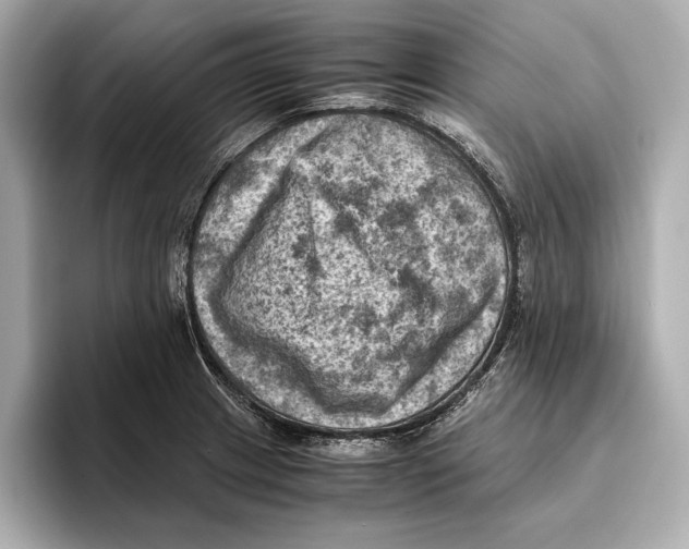 X0000096641233200802261251