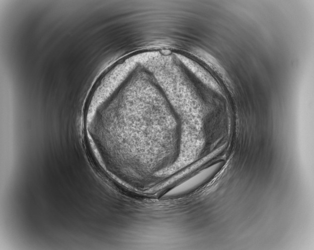 X0000096641234200802261251