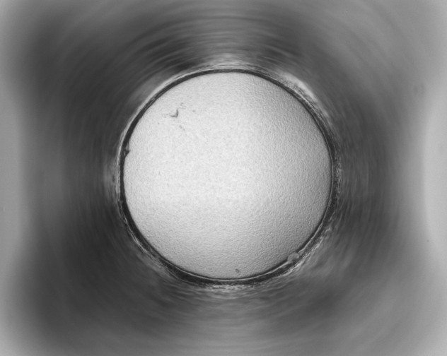 X0000096641236200802261251