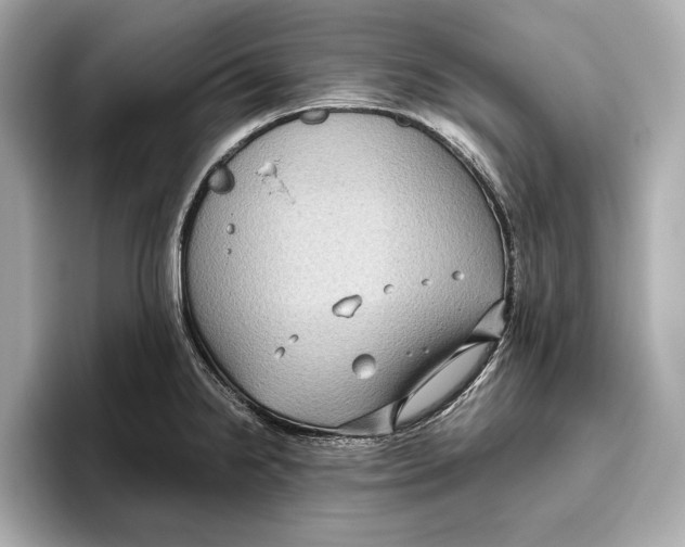 X0000096641238200802261251