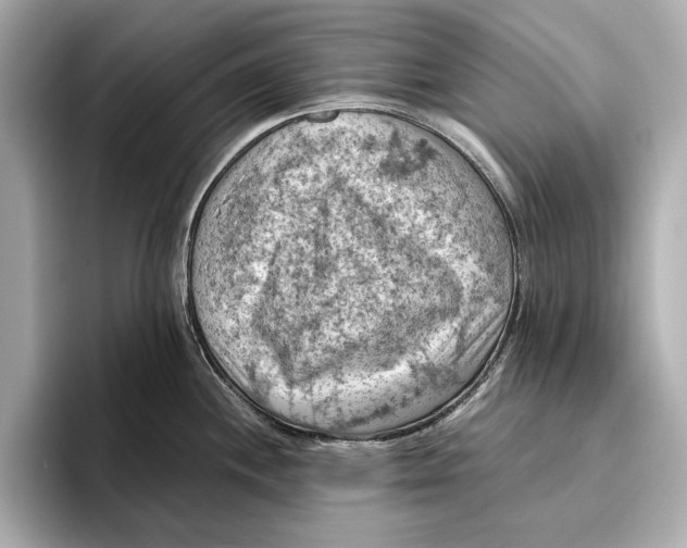 X0000096641244200802261251