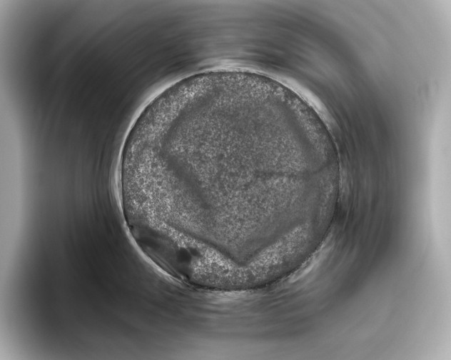 X0000096641247200802261251