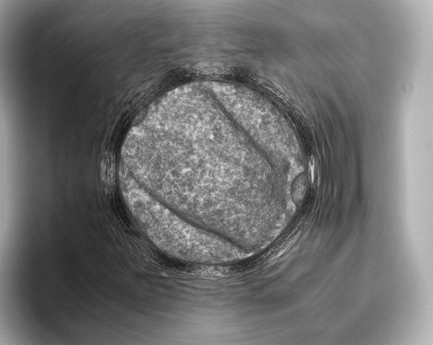 X0000096641251200802261250