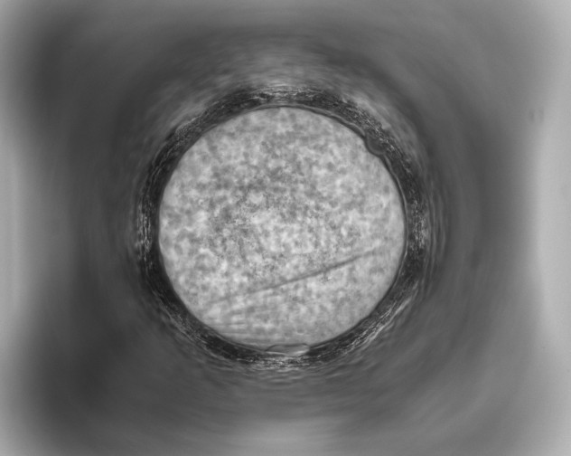 X0000096641253200802261250