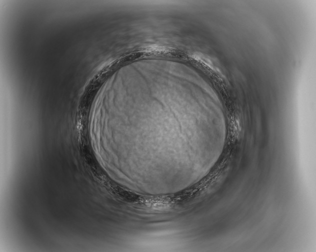 X0000096641254200802261250