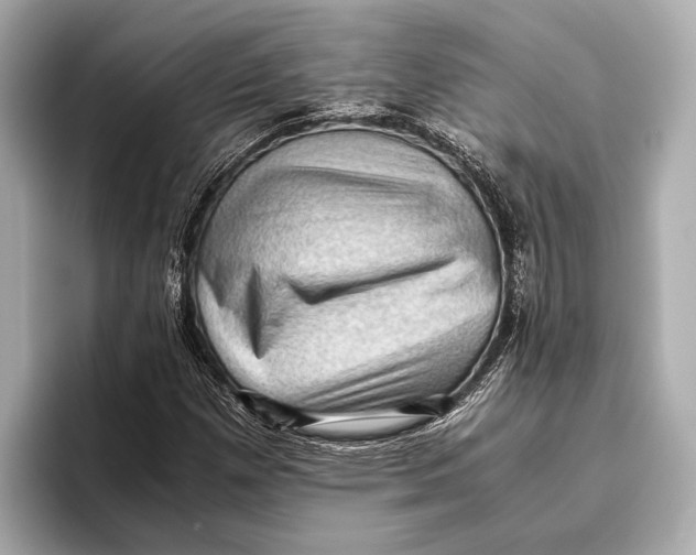 X0000096641257200802261250