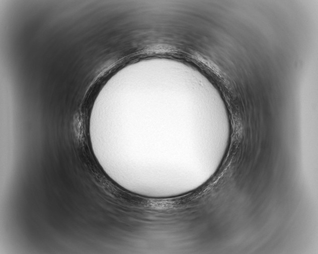 X0000096641258200802261250