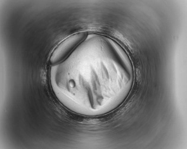 X0000096641260200802261250