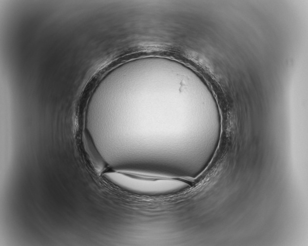 X0000096641261200802261250