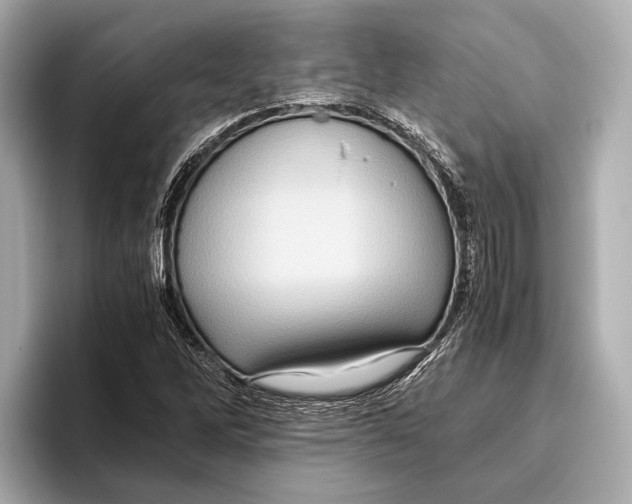 X0000096641262200802261250