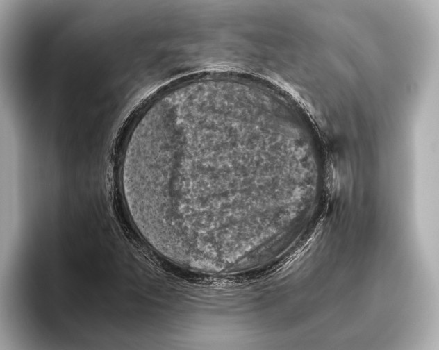 X0000096641263200802261250