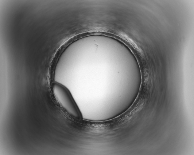 X0000096641264200802261250