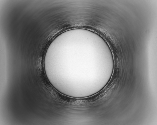 X0000096641265200802261250