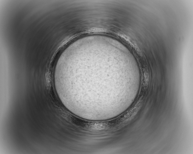 X0000096641266200802261250