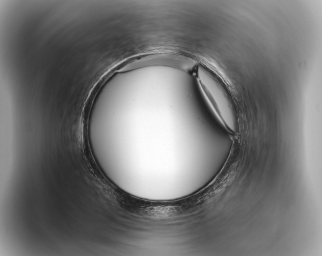 X0000096641268200802261250