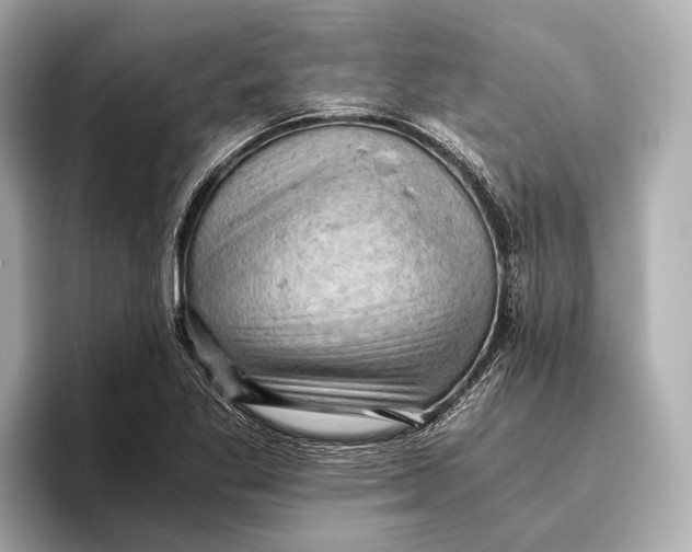 X0000096641269200802261250