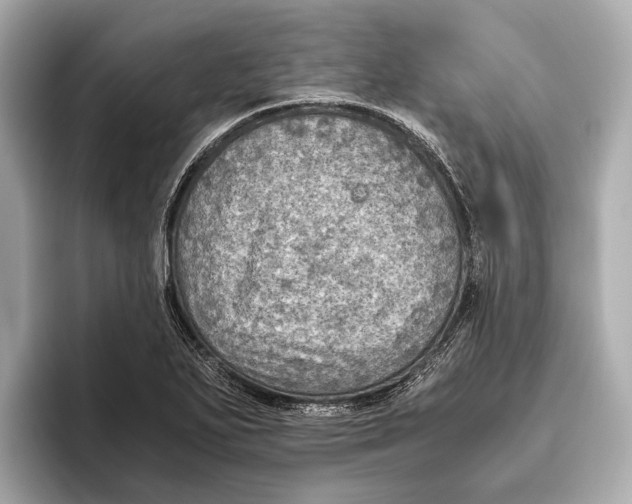 X0000096641271200802261250