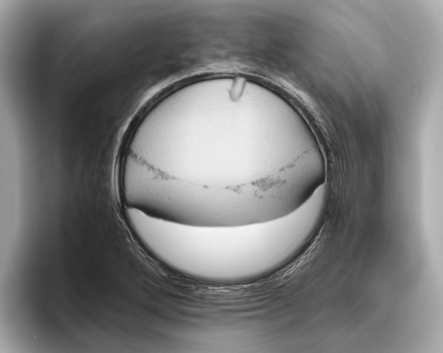 X0000096641272200802261250