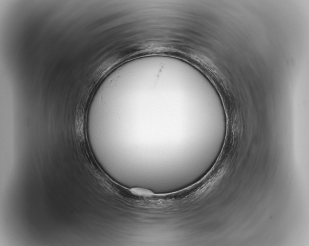 X0000096641273200802261250