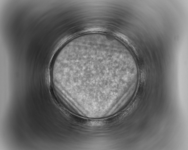 X0000096641274200802261250