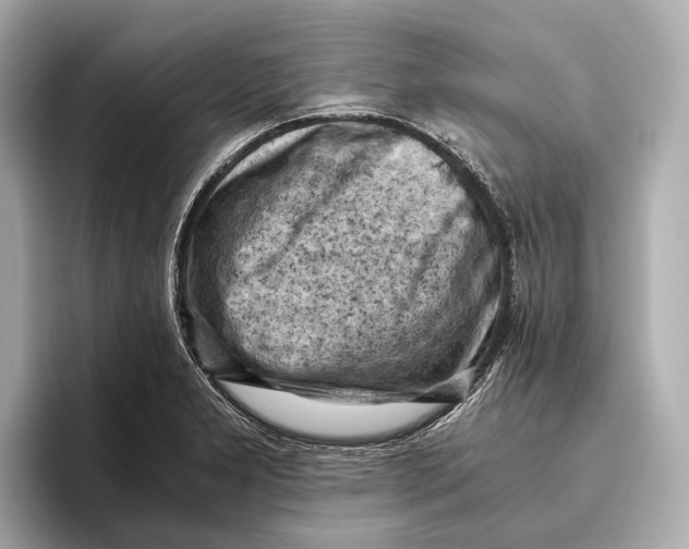 X0000096641277200802261250