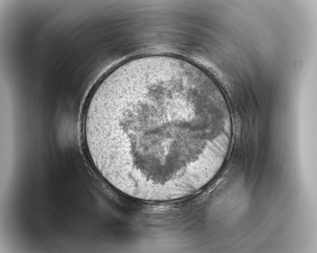 X0000096641278200802261250