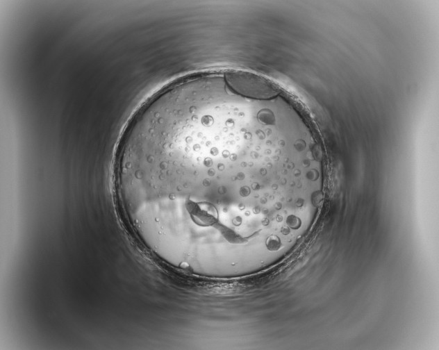 X0000096641279200802261250