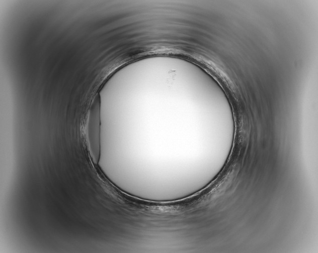 X0000096641281200802261250