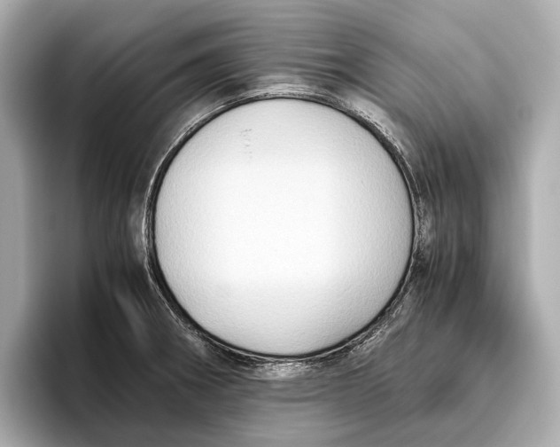 X0000096641282200802261250