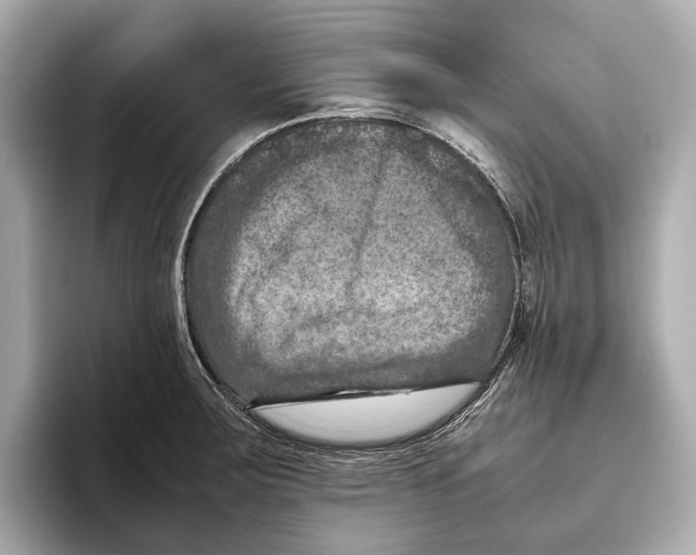 X0000096641283200802261250